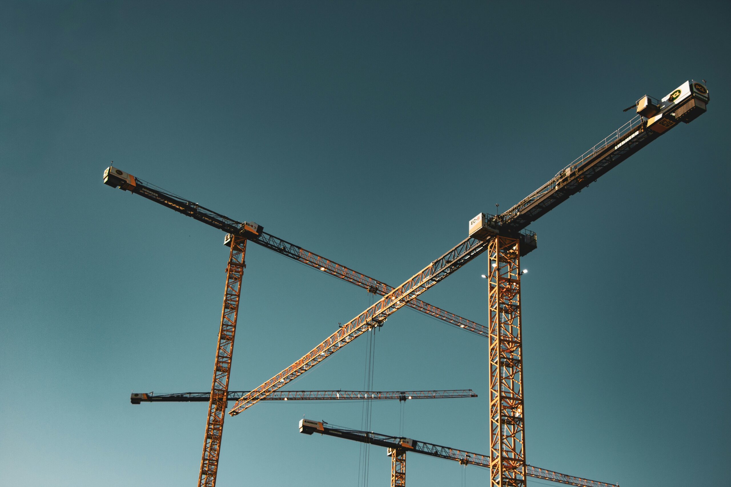 dariia-lemesheva-ZVMBIjmyMtc-unsplash